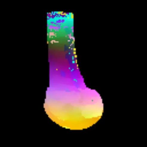 A simulated X-ray of a femur in false colour, turning back and forth
                              through 180 degrees, with each part of the bone keeping its colour as
                              the viewing angle changes